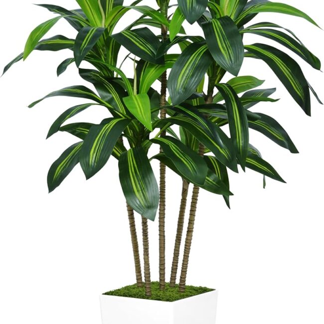 Artificial Dracaena Tree with White Planter, 5-Ft