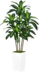 Artificial Dracaena Tree with White Planter, 5-Ft